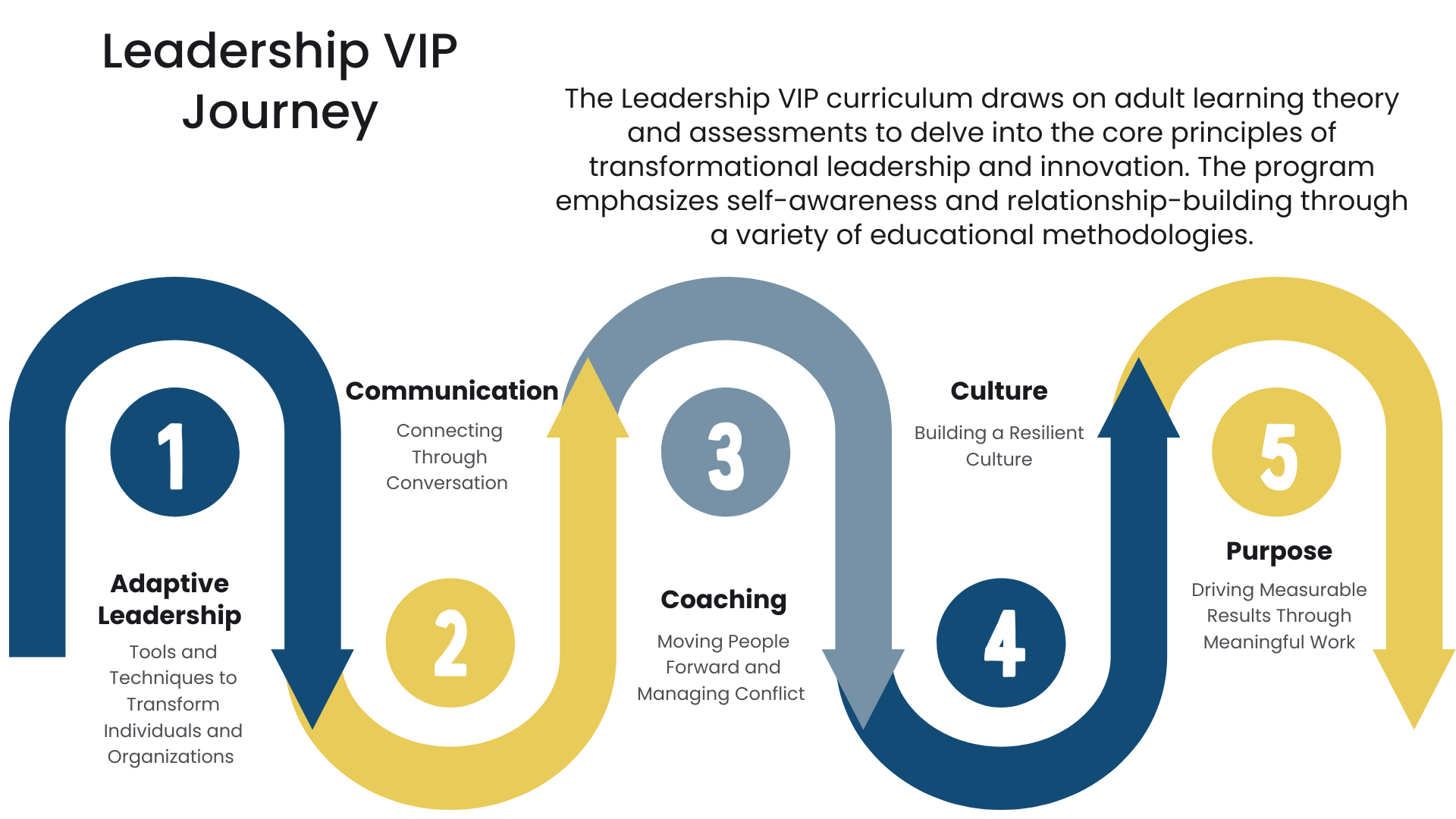 Program Curriculum Graphic 